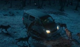 野狼谷电影在线观看,狂野追踪，生死较量