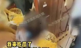 张小寒今日爆料最新视频,娱乐圈惊人内幕大曝光！