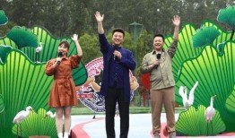 海丰最近爆料新闻视频,视频揭露惊人真相